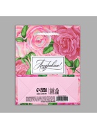 Пакет подарочный ламинированный, упаковка, «Поздравляю», S 12 х 15 х 5.5 см (комплект 2 шт) - фото 26614889