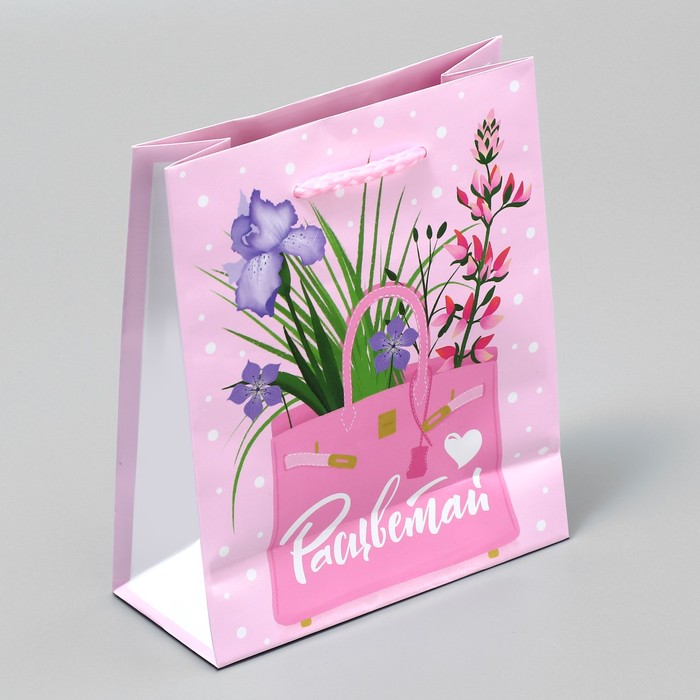 Пакет ламинированный «Расцветай», S 12 х 15 х 5.5 см