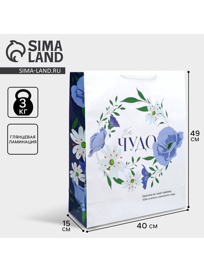 Пакет подарочный ламинированный, упаковка, «Ты чудо», 40×49×15 см