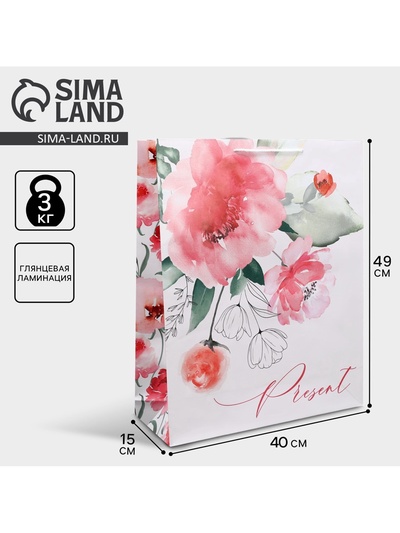 Пакет подарочный ламинированный, упаковка, Present, 40×49×15 см