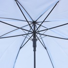 Зонт - трость полуавтоматический «Пастель», 8 спиц, R = 47 см, цвет МИКС - Фото 12