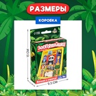 Настольная игра для детей на логику «Зоопятнашки», головоломка, 1 игрок, 4+ - Фото 7