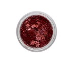 Глиттер пищевой фигурный «Звёзды», красные, 0.5 г - Фото 3