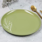 Тарелка керамическая «Олива», 26.5см, цвет зелёный - фото 4439174