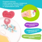 Погремушка детская «Леденец», с прорезывателем для зубов - Фото 4