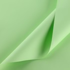 Плёнка для цветов упаковочная матовая «Свежая мята», 0.5 x 8 м - Фото 1