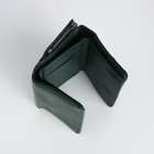 Кошелёк женский на магните, цвет зелёный - фото 23909383