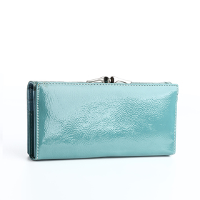 Кошелёк женский на магните с фермуаром, цвет голубой