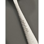 Набор ложек чайных Доляна «Колосок», длина 15 см, 6 шт., нержавеющая сталь, серебристый - Фото 3