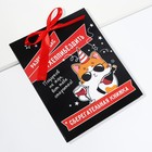 Конверт для денег, открытка на День Рождения «Поздравительная», с котом, 6 листов, 16,3 х 21,3 см - фото 3527084