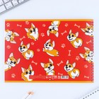 Альбом для рисования А4 32 листа на пружине «Корги» - Фото 3