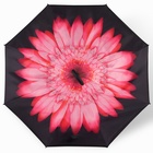 Зонт - наоборот «Цветы», механический, 8 спиц, R = 53 см, цвет МИКС - фото 9632566