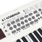 Синтезатор детский «Клавишник», звуковые эффекты, 61 клавиша - фото 9632731