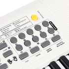 Синтезатор детский «Клавишник», звуковые эффекты, 61 клавиша - фото 9632732