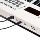 Синтезатор детский «Клавишник», звуковые эффекты, 61 клавиша - фото 4440209