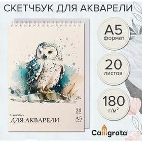 Скетчбук-блокнот для акварели А5, 20 листов на гребне, Calligrata TOP, обложка мелованный картон, блок 180 г/м2 9837435