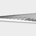 Набор вилок столовых Доляна «Колосок», h=19 см, 6 шт., нержавеющая сталь, серебристый - Фото 4