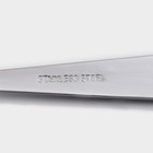 Набор вилок столовых Доляна «Колосок», h=19 см, 6 шт., нержавеющая сталь, серебристый - Фото 5