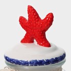 Банка для сыпучих продуктов Доляна «Морская звезда», 600 мл, 11×19 см, с керамической крышкой, стекло, прозрачная - Фото 5