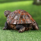 Садовая фигура "Черепаха" коричневая, 19х13х10см - Фото 5