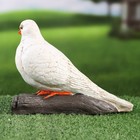 Садовая фигура "Голубь" 19х10х14см - фото 23961710