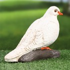 Садовая фигура "Голубь" 19х10х14см - фото 23961711