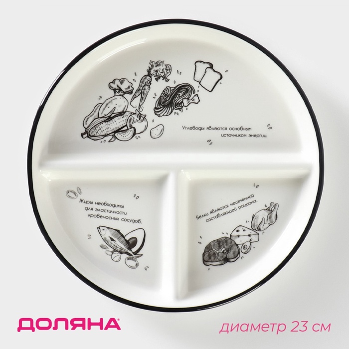 Тарелка для правильного питания Доляна «Гарвардская №1», d=23 см, 3 секции, фарфор, белая - Фото 1