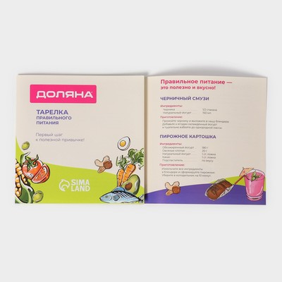 Тарелка для правильного питания Доляна «Гарвардская №1», d=23 см, 3 секции, фарфор, белая