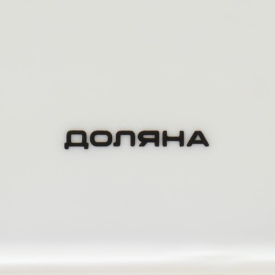 Тарелка фарфоровая для правильного питания Доляна, d=23 см