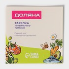 Тарелка для правильного питания Доляна «Гарвардская №2», d=23 см, 3 секции, фарфор, белая - Фото 8