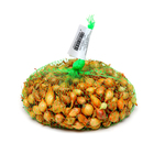 Лук севок Штутгартен ризен , р-р 18-21 0,25 кг, Весна 2025 - Фото 1