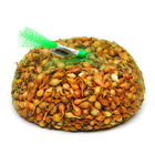 Лук севок Штутгартен ризен , р-р 18-21 1 кг, Весна 2025 - Фото 1