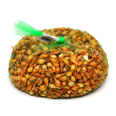 Лук севок Штутгартен ризен , р-р 18-21 1 кг, Весна 2025