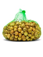 Лук севок Штутгартен ризен , р-р 18-21 1 кг, Весна 2025 - Фото 2