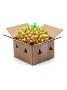 Лук севок Штутгартен ризен , р-р 18-21 1 кг, Весна 2025 - Фото 3