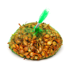 Лук севок Стурон , р-р 18-21, 2 кг, Весна 2025 - Фото 1