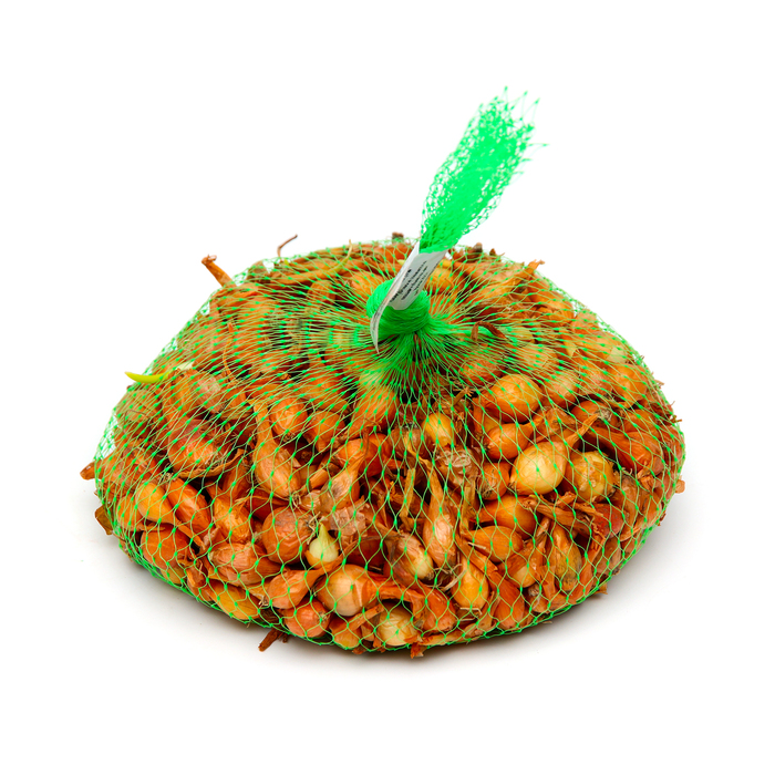 Лук севок Стурон , р-р 18-21, 2 кг, Весна 2025 - Фото 1