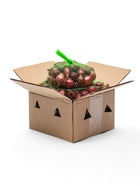 Лук севок Кармен , р-р 18-21, 0,25 кг, Весна 2025 - Фото 3