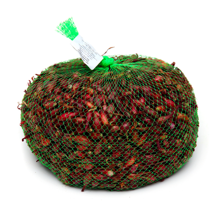 Лук севок Кармен , р-р 18-21, 1 кг, Весна 2025 - Фото 1