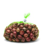 Лук севок Кармен , р-р 18-21, 1 кг, Весна 2025 - Фото 2