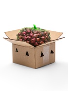 Лук севок Кармен , р-р 18-21, 1 кг, Весна 2025 - Фото 3