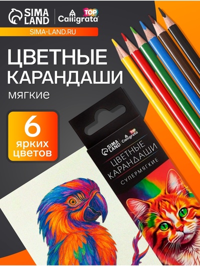 Карандаши Calligrata, цветные, 6 цветов, супермягкие, диаметр грифеля 3 мм, 5B
