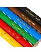 Карандаши 6 цветов TOP Calligrata, супермягкие, в картонной коробке, диаметр грифеля - 3 мм, 5B 9936024 - фото 16370035