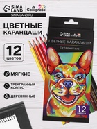 Карандаши Calligrata, 12 цветов, супермягкие, диаметр грифеля 3 мм - Фото 1