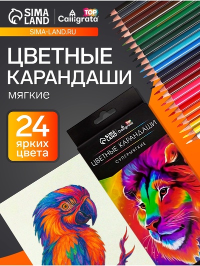 Карандаши Calligrata, цветные, 24 цвета, супермягкие, диаметр грифеля 3 мм, 5B
