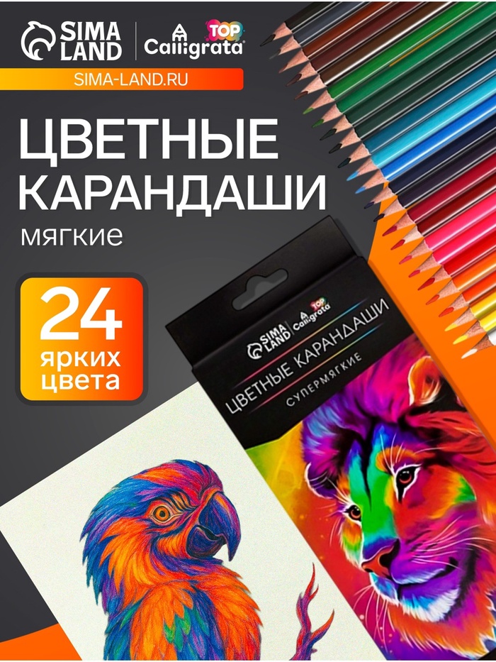 Карандаши Calligrata, цветные, 24 цвета, супермягкие, диаметр грифеля 3 мм, 5B
