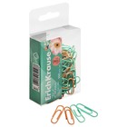 Скрепки канцелярские 28 мм, 100 штук, ErichKrause Pastel Bloom, цветные с виниловым покрытием, пластиковая коробка, МИКС - Фото 1