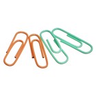 Скрепки канцелярские 28 мм, 100 штук, ErichKrause Pastel Bloom, цветные с виниловым покрытием, пластиковая коробка, МИКС - Фото 2