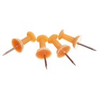Кнопки силовые ErichKrause "Pastel Bloom", 50 штук, персиковые, в пэт-боксе - Фото 2