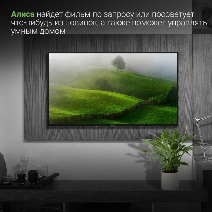 Телевизор LED Digma 43" DM-LED43SBB31 Яндекс.ТВ черный FULL HD 60Hz DVB-T DVB-T2 DVB-C DVB-   102953 - фото 51597027